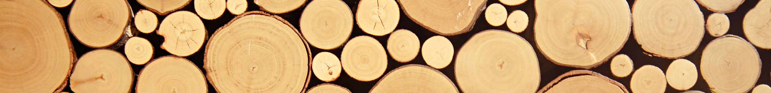 Species 101 | Bayer Built Woodworks